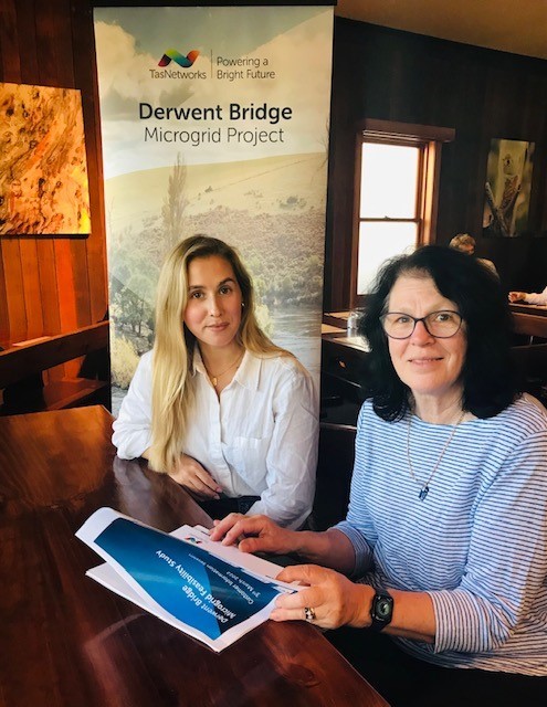 Derwent Bridge Project Consulting